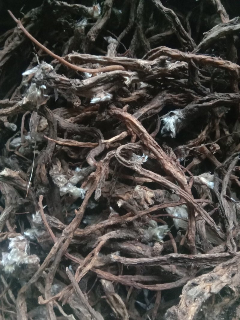 白头翁，野生滚筒水洗货