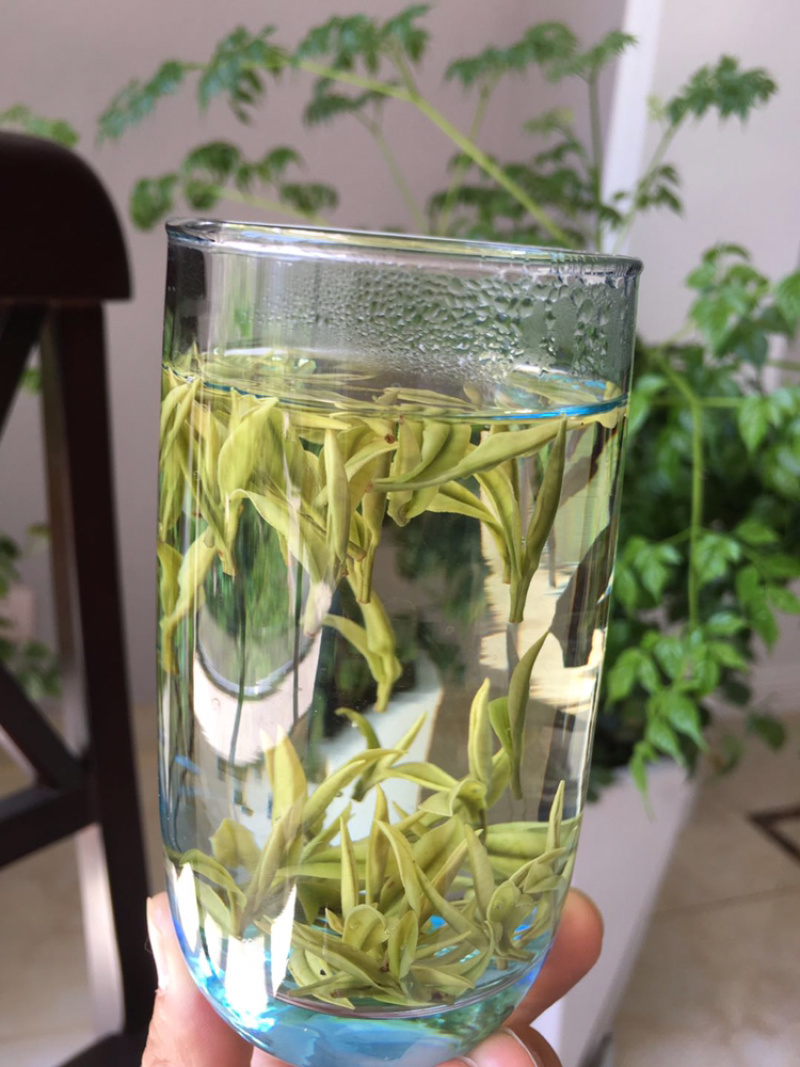 安吉白茶原产地茶农直供明前特级500克简包散装茶