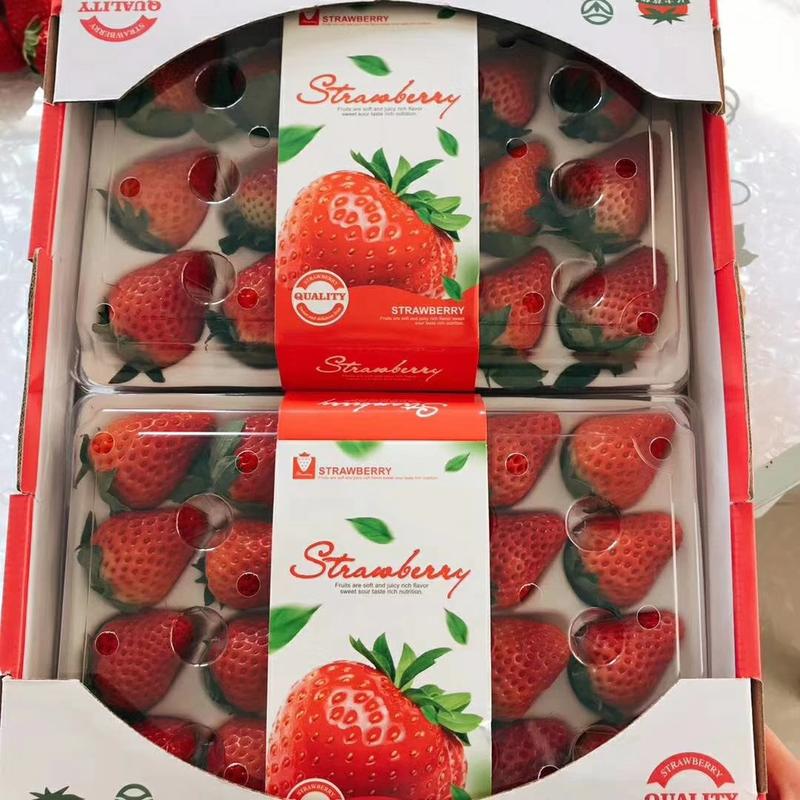 【精品】大量供应长丰红颜草莓，需要的老板可以联系我