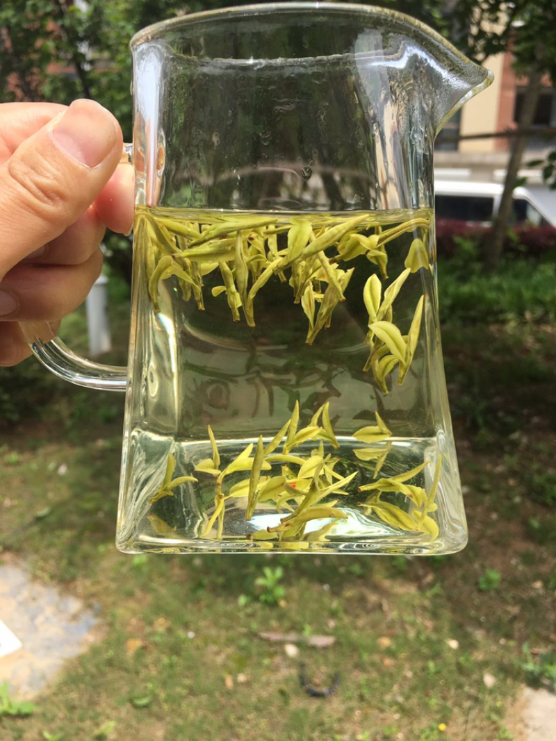 安吉白茶明前头采250克罐装原产地高山茶园直销