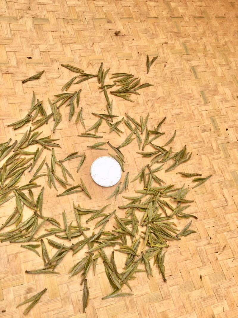 安吉白茶明前头采250克罐装原产地高山茶园直销