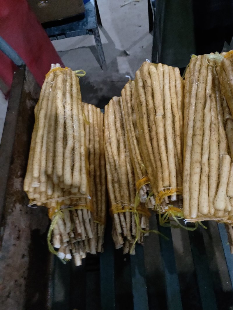小白嘴山药