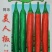 同乐美人椒尖椒高产辣椒种子一袋一千粒正品包邮