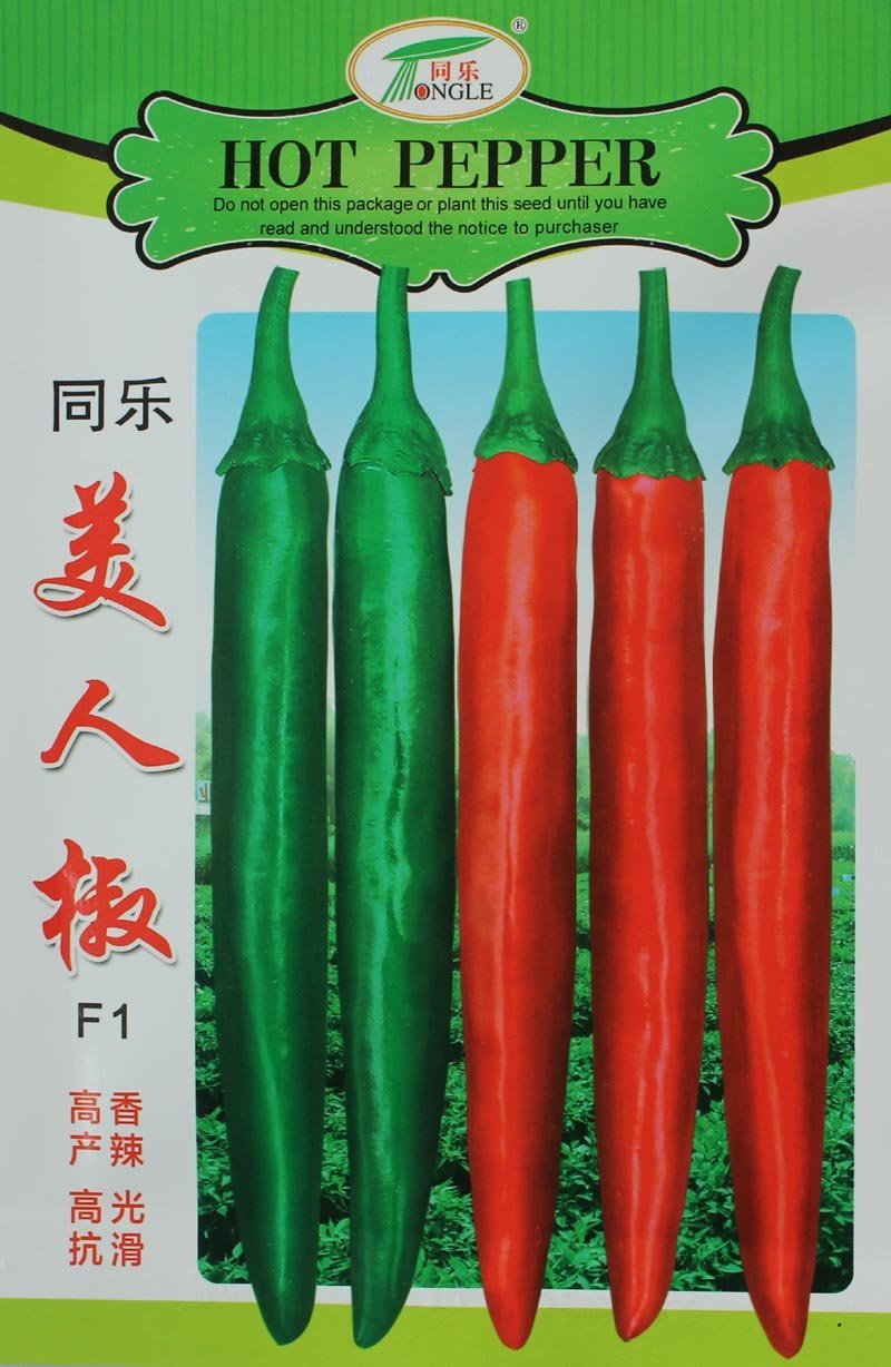 同乐美人椒尖椒高产辣椒种子一袋一千粒正品包邮