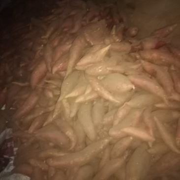 窖藏烟25