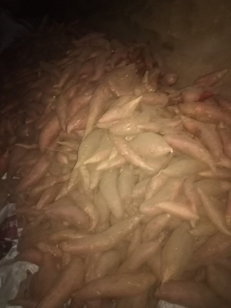 窖藏烟25