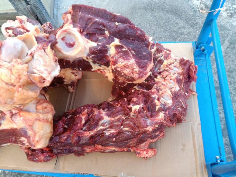 内蒙古锡林郭勒草地黄牛肉棒骨，牛肉棒骨头，肉大筋少。好吃