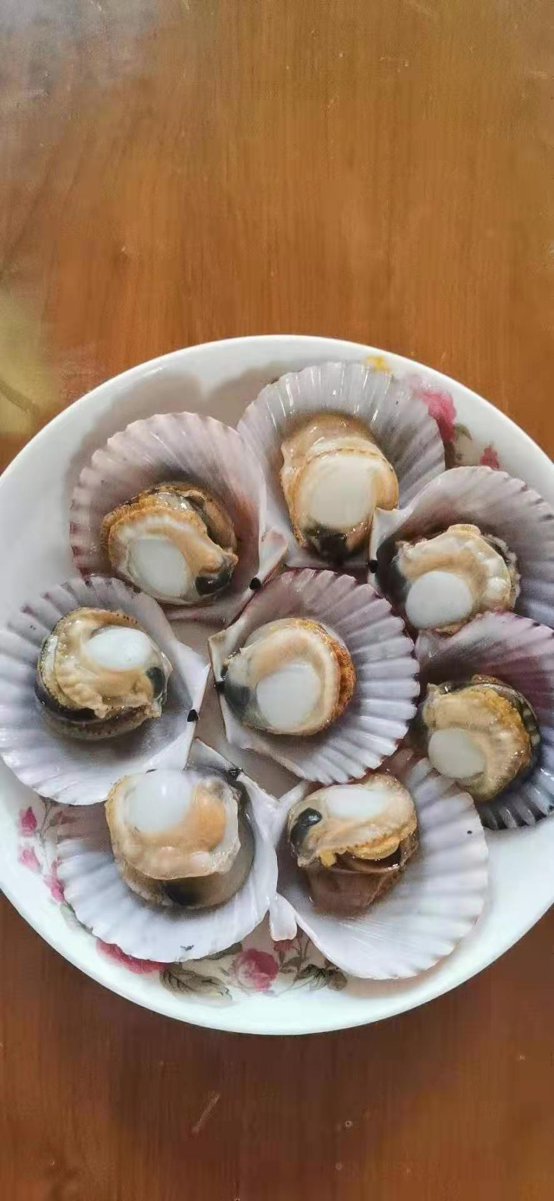 扇贝