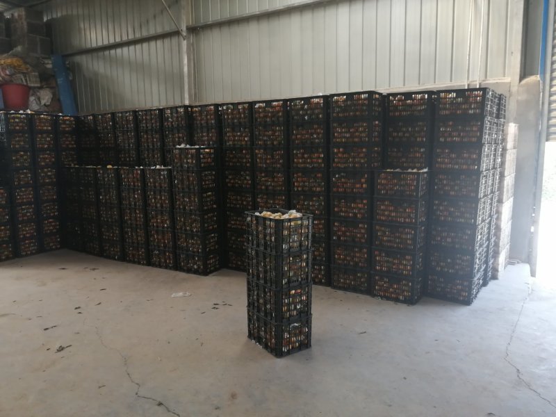 湖南麻阳纽荷尔大量供应【批发商社区电商**】