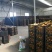 湖南麻阳纽荷尔大量供应【批发商社区电商**】