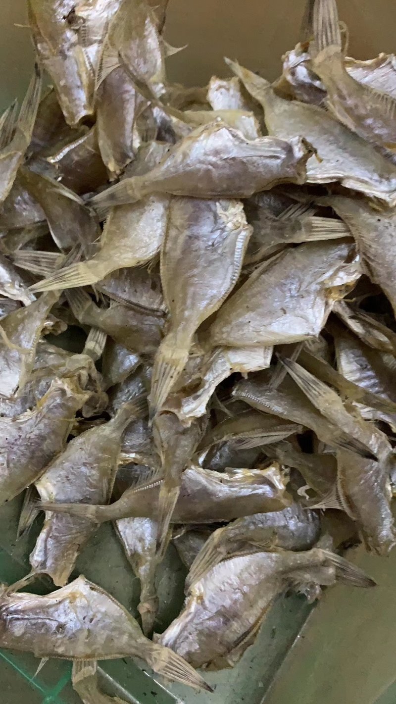 自晒迪仔鱼干剥皮鱼干小鱼仔（淡味）