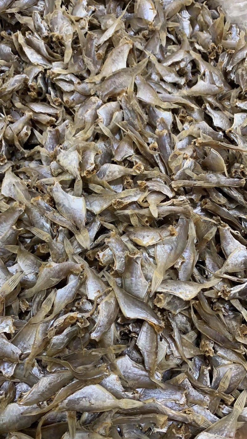 自晒迪仔鱼干剥皮鱼干小鱼仔（淡味）