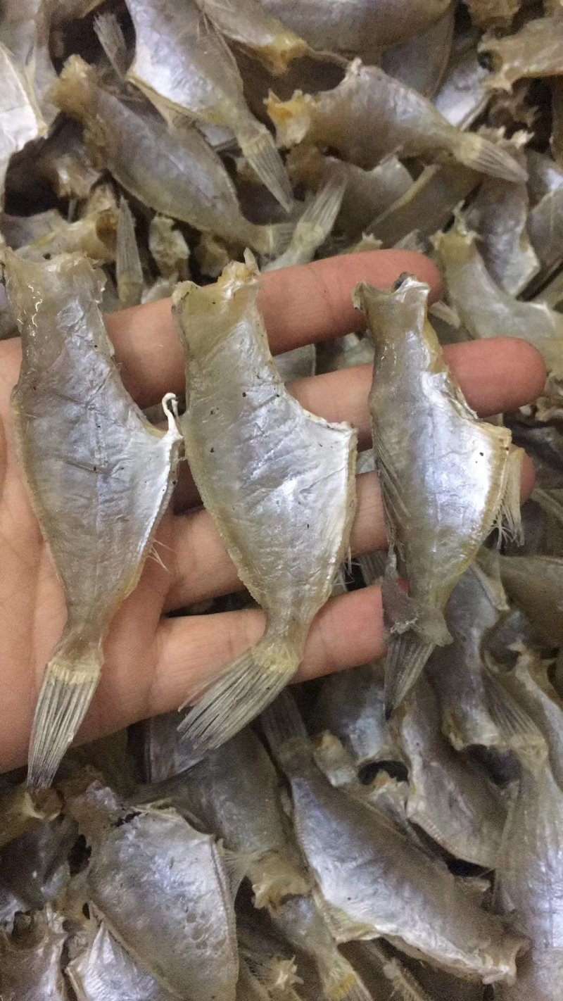 自晒迪仔鱼干剥皮鱼干小鱼仔（淡味）