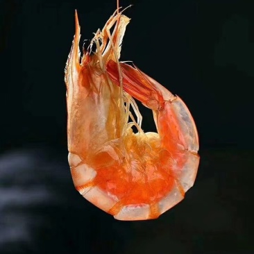 烤虾干