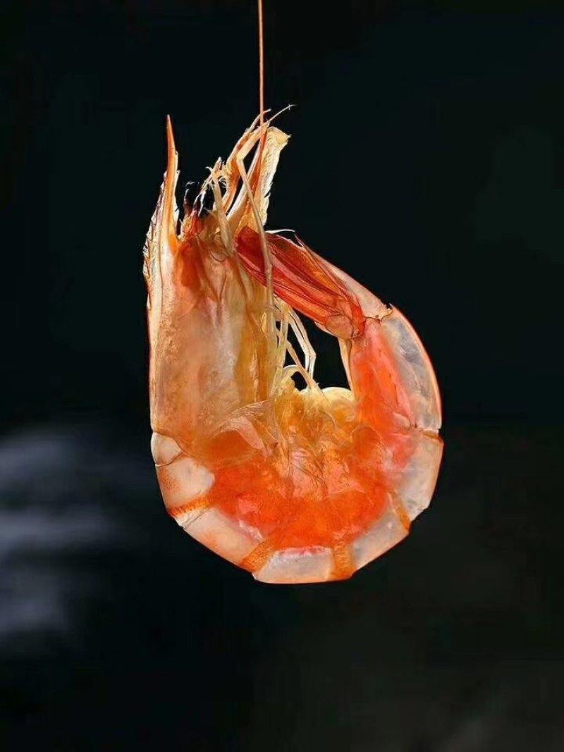烤虾干