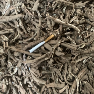 牡丹皮,货好量大,达到国家标准,制药厂投料