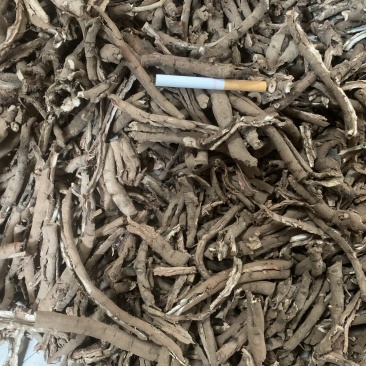 牡丹皮,货好量大,含量达标制药厂投料用。