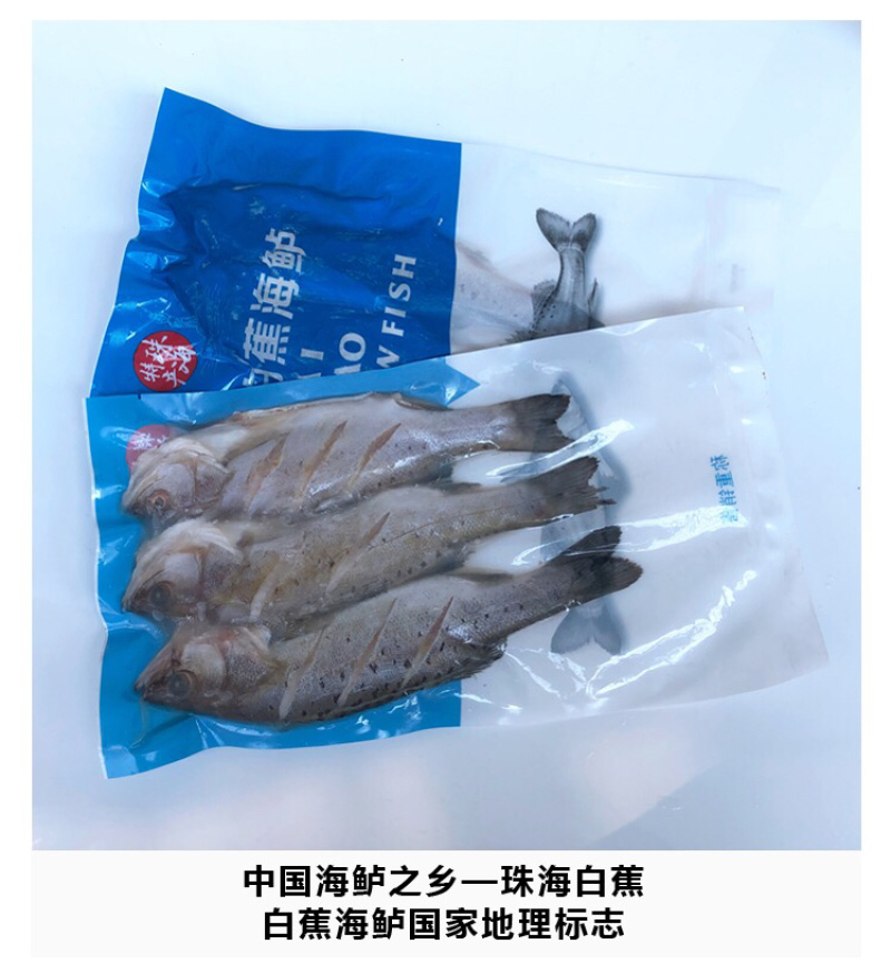冷冻鲈鱼冰冻白蕉海鲈冰冻花鲈海鲈鱼自家工厂餐饮行业