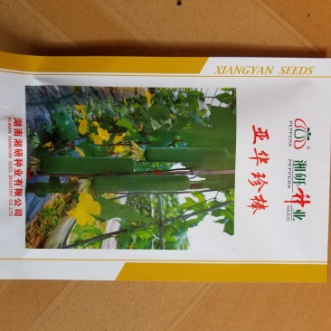 一代交配，10克湘研珍棒肉丝瓜种