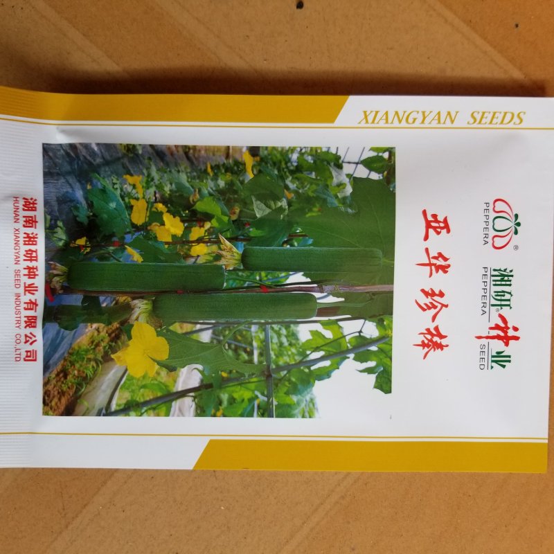 一代交配，10克湘研珍棒肉丝瓜种