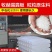 漏粪板仔猪漏粪板养母猪产床配件小羊猪用塑料猪圈