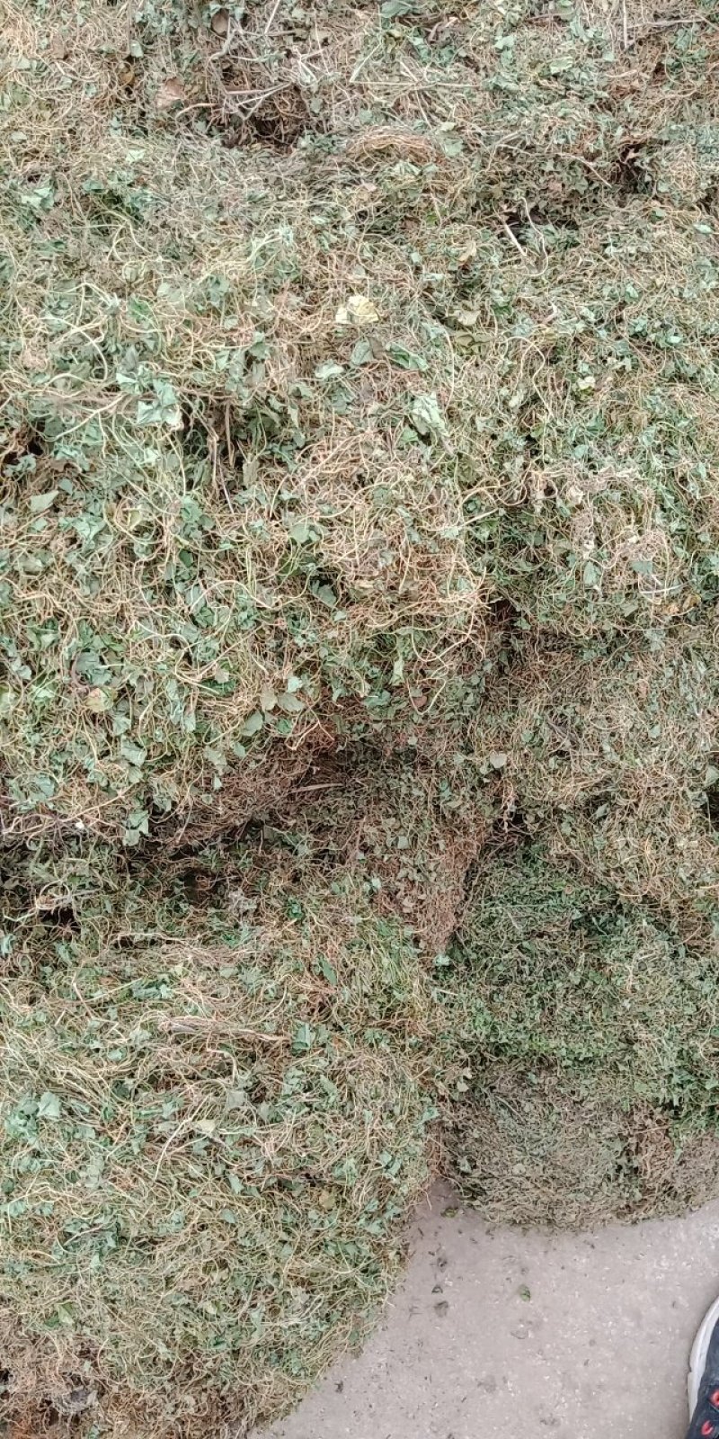 药材马蹄筋，金钱草