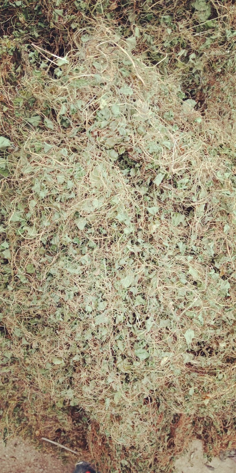 药材马蹄筋，金钱草