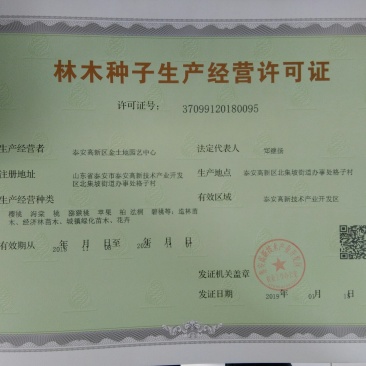 【杏树种子热卖】杏树种子杏核种子杏种子山杏种子嫁接砧木