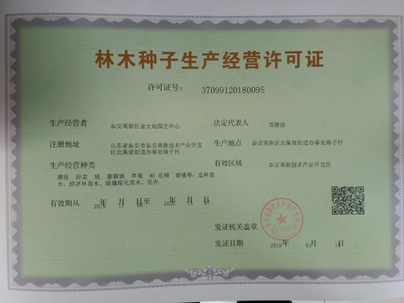【杏树种子热卖】杏树种子杏核种子杏种子山杏种子嫁接砧木