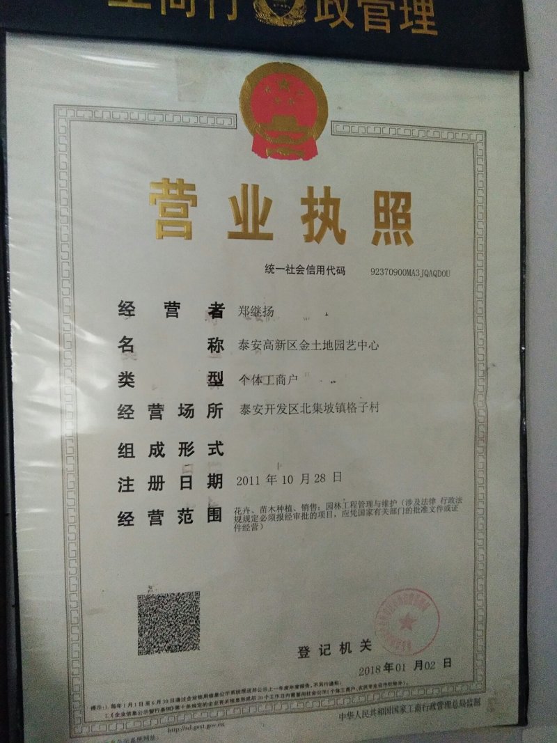 【杏树种子热卖】杏树种子杏核种子杏种子山杏种子嫁接砧木