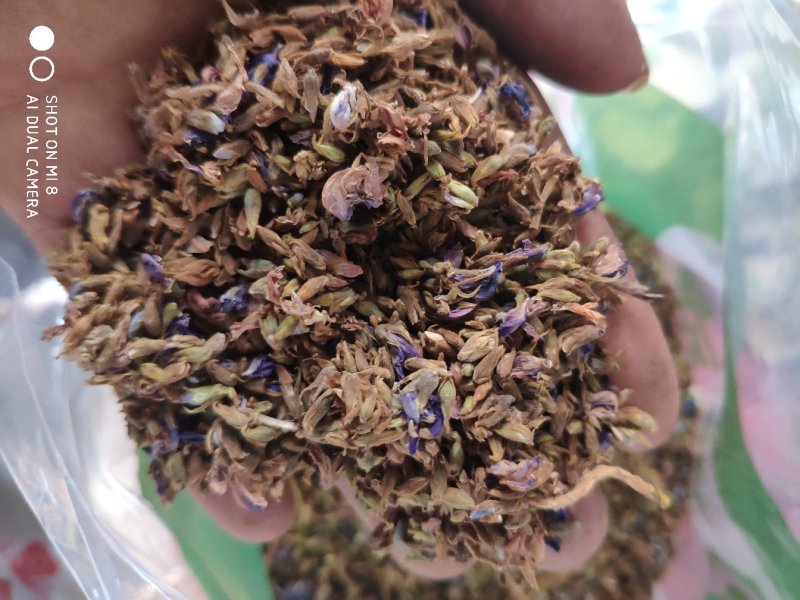 葛花新货货好量大，不满意可以退换货，代抓各种药方