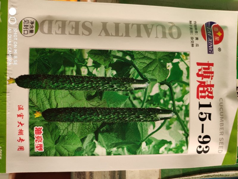 博超15一93黄瓜种子(温室大棚专用)