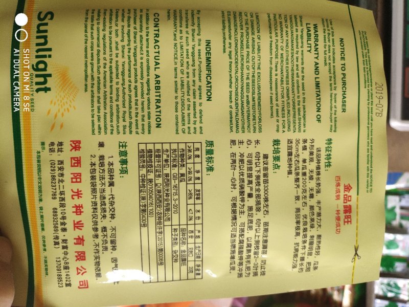 金品露旺黄瓜种子耐热性好丰产潜力大瓜条亮绿