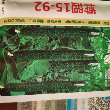 博超15一92黄瓜种子