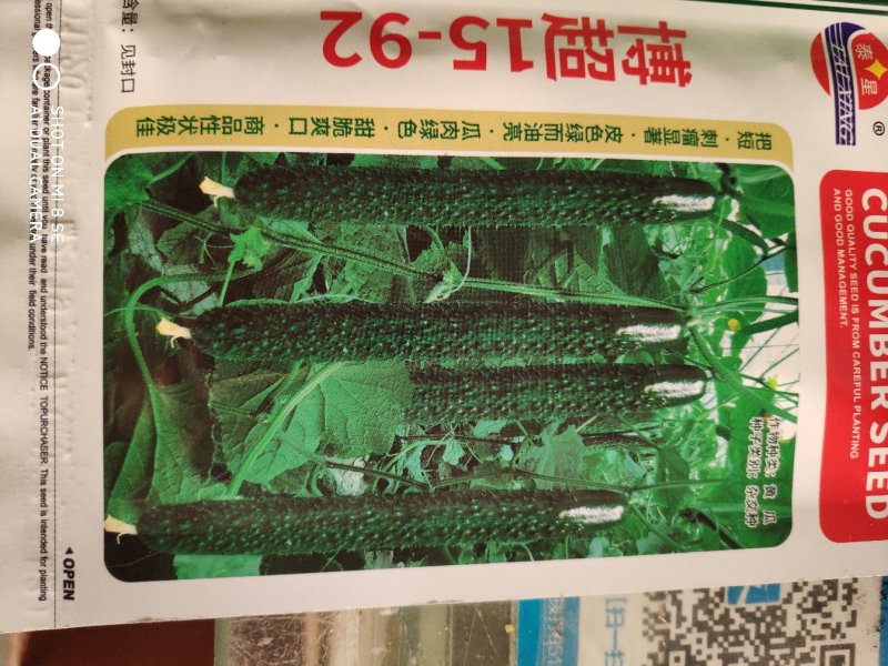 博超15一92黄瓜种子