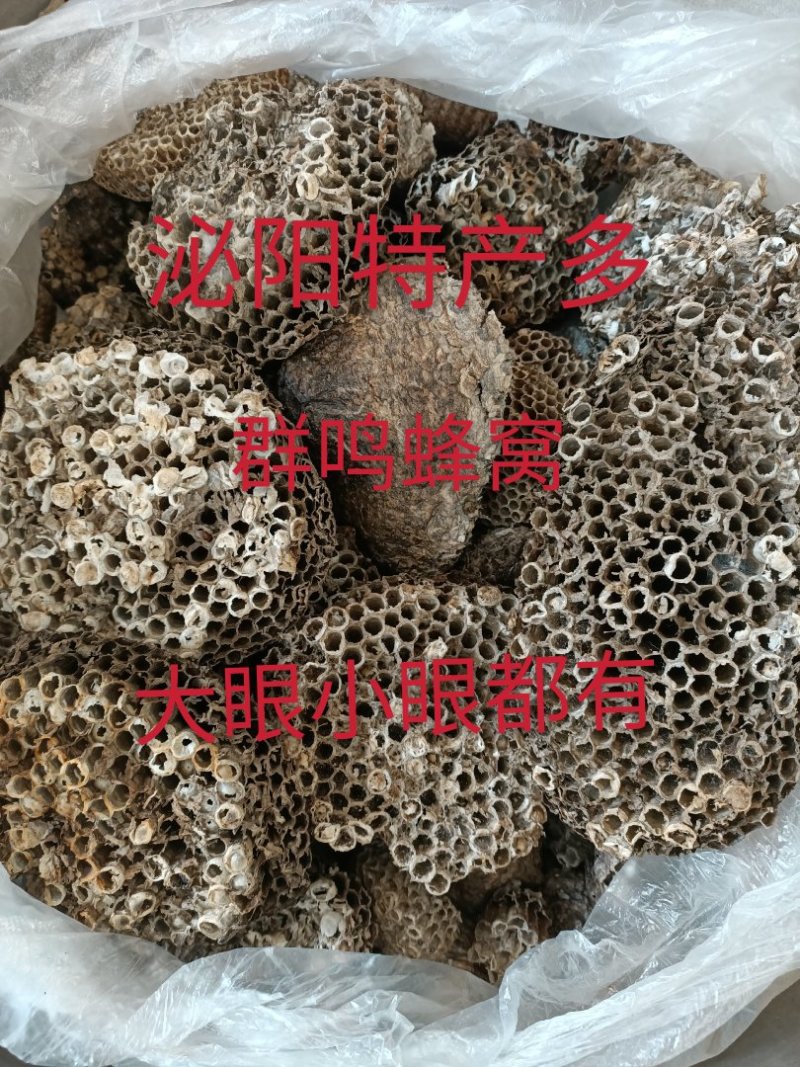 泌阳特产:蜂窝.软蜂窝..蜂房.软蜂房.蜂巢.软蜂巢。