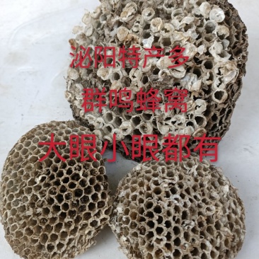 泌阳特产:蜂窝.软蜂窝..蜂房.软蜂房.蜂巢.软蜂巢。