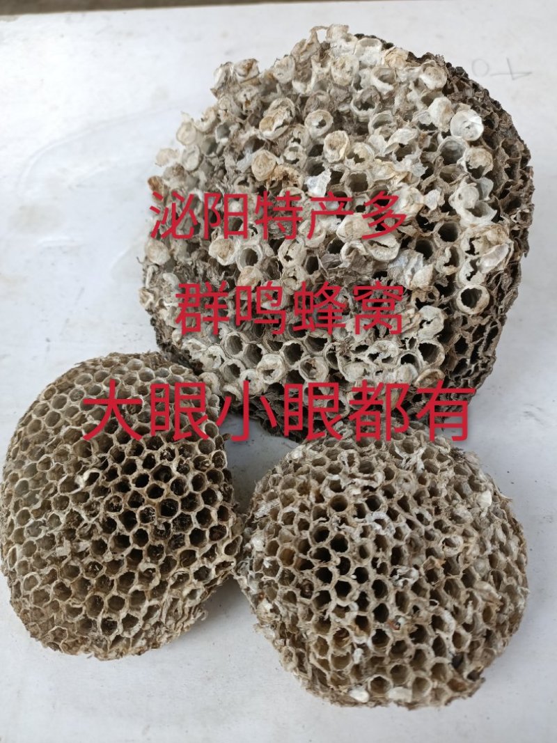 泌阳特产:蜂窝.软蜂窝..蜂房.软蜂房.蜂巢.软蜂巢。