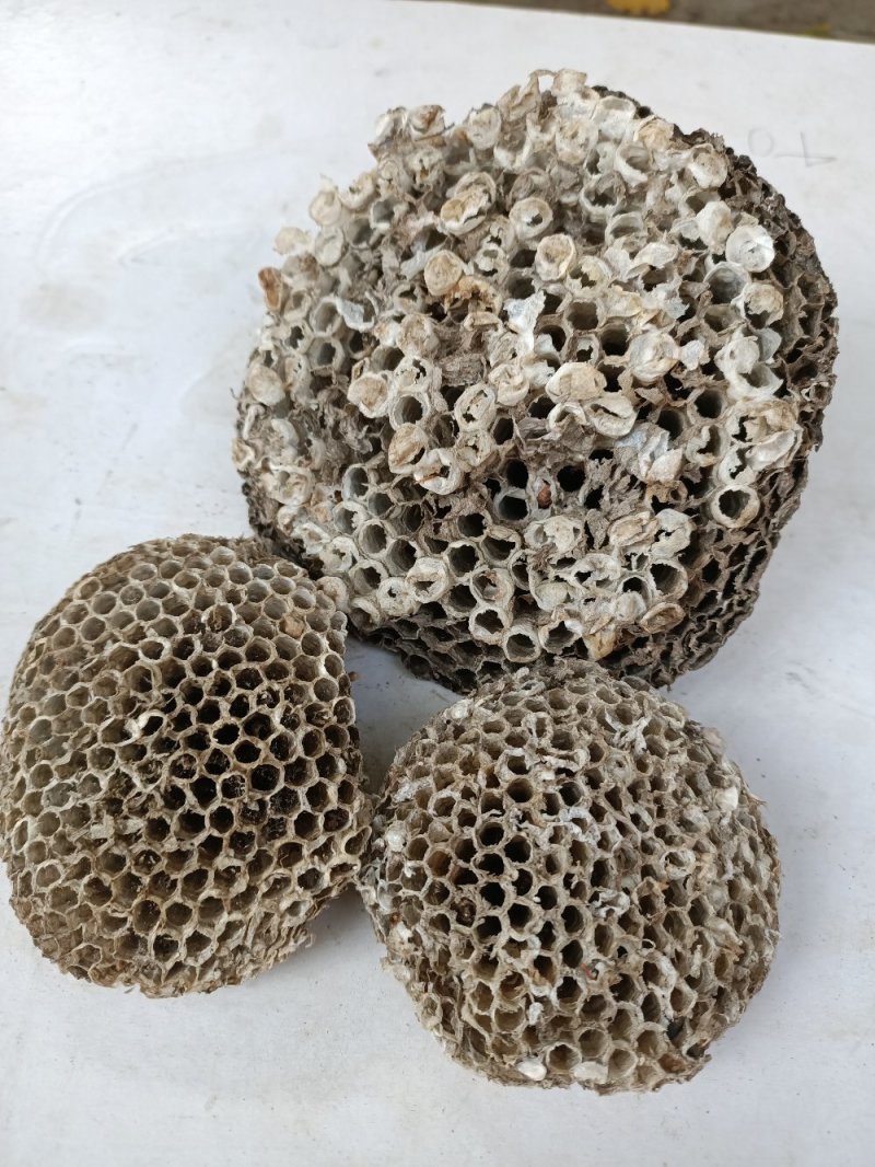 泌阳特产:蜂窝.软蜂窝..蜂房.软蜂房.蜂巢.软蜂巢。