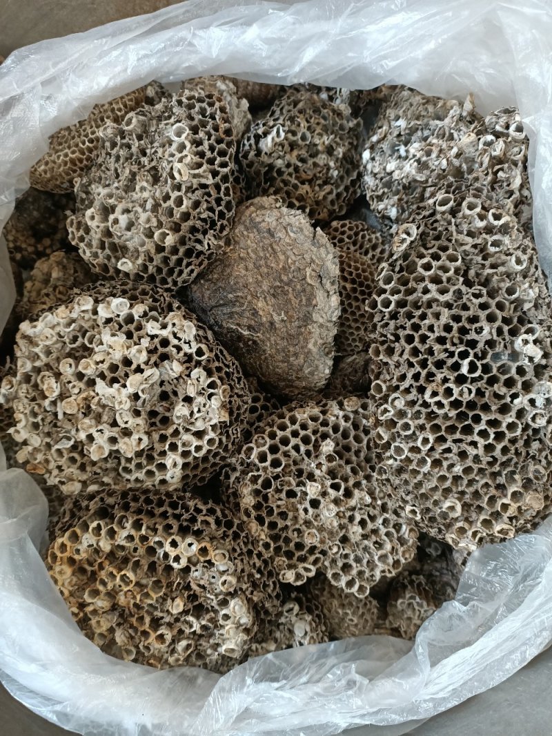 泌阳特产:蜂窝.软蜂窝..蜂房.软蜂房.蜂巢.软蜂巢。