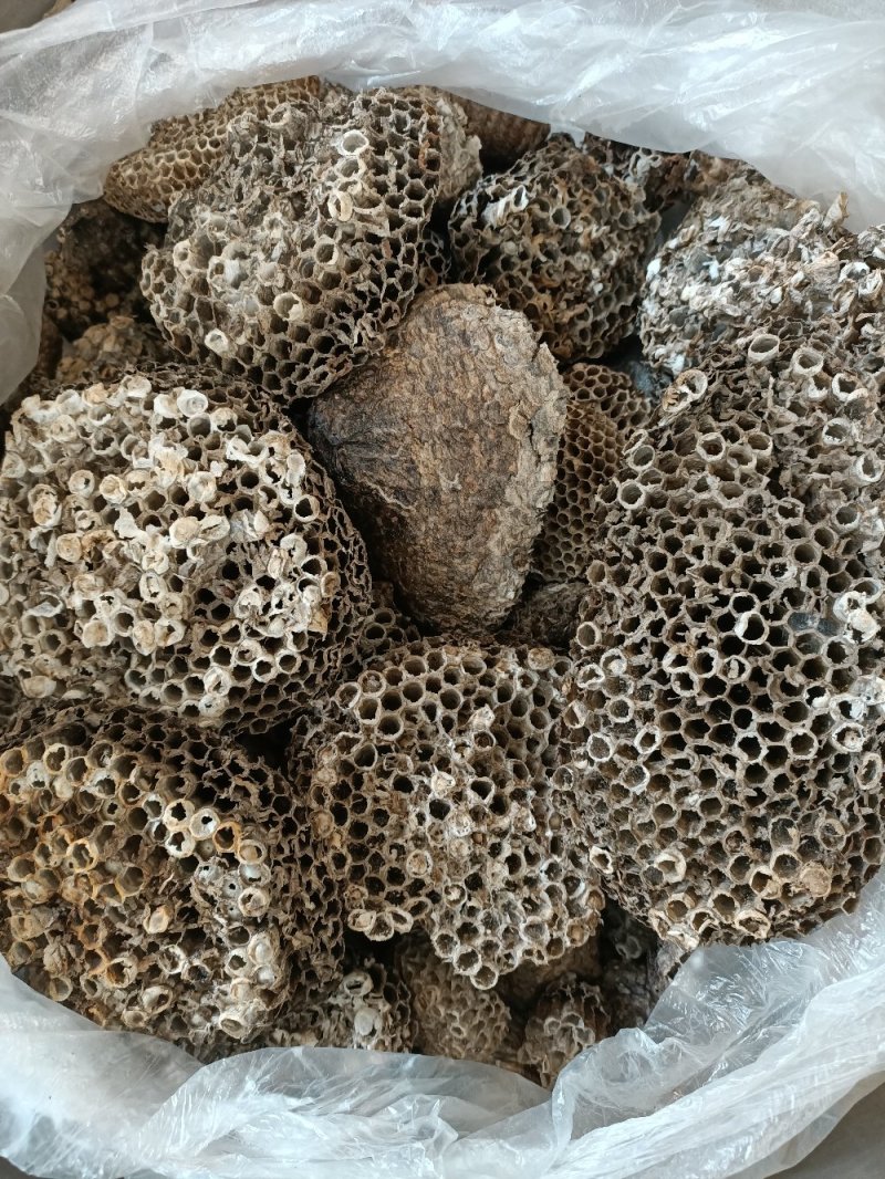 泌阳特产:蜂窝.软蜂窝..蜂房.软蜂房.蜂巢.软蜂巢。