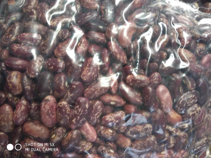 🍓🥖紫花芸豆腰豆红农杂粮粗粮任意十斤4元邮