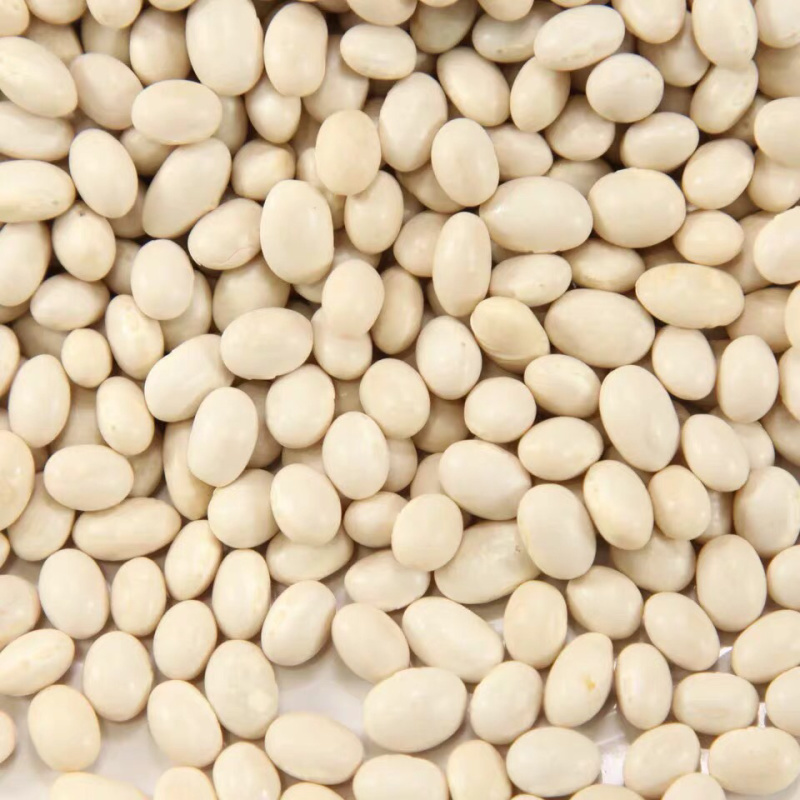 🍓🥖小白豆白芸豆粗粮任意搭配十斤4元邮费