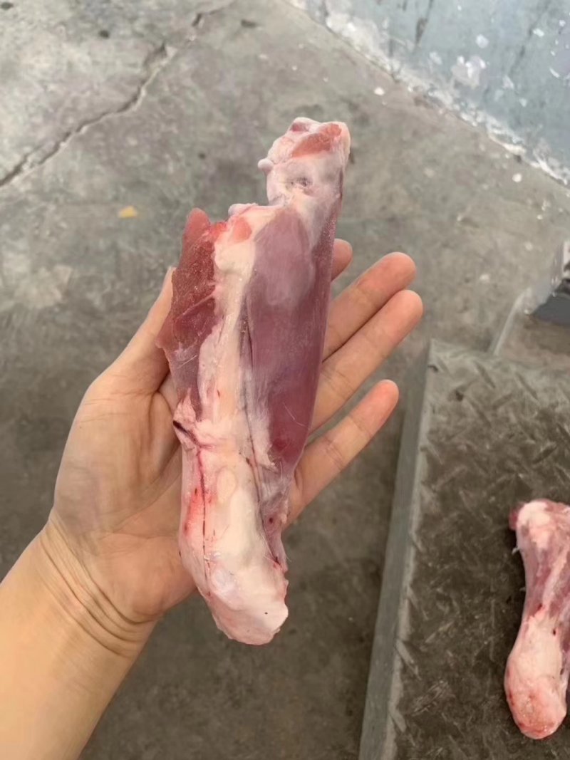 锡盟羔羊前腱子，烧烤，中餐都不错