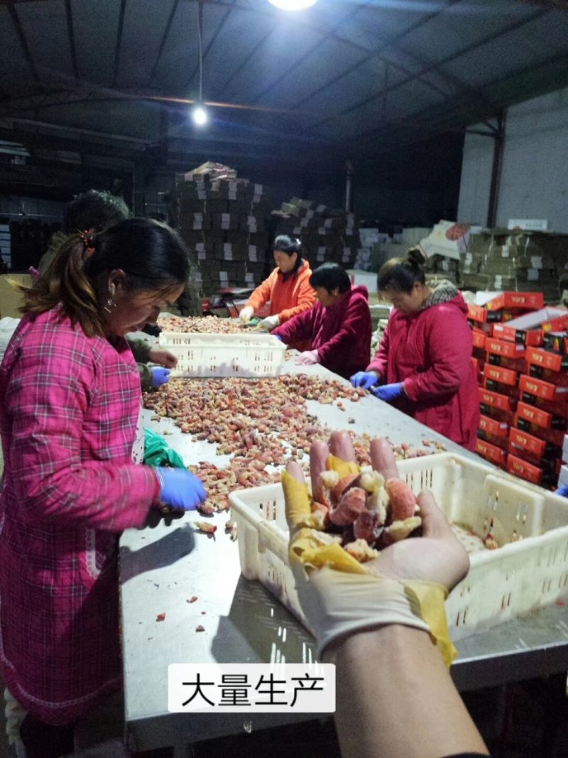 龙虾尾加工厂，直售上游虾尾干冰原料及各级别成品，欢迎咨询