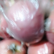 红富士苹果