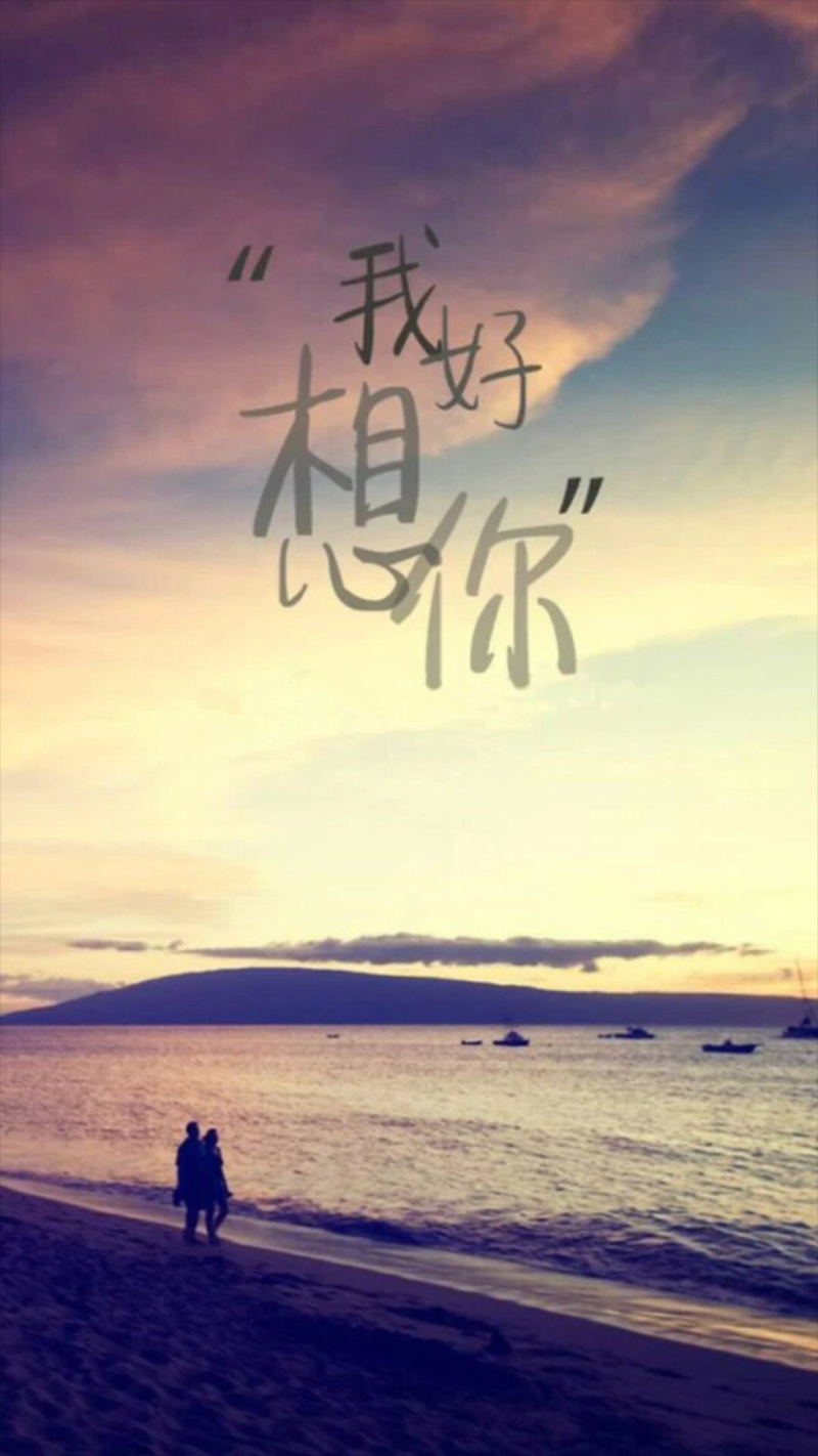 正品黑珍珠桑椹苗