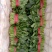 菠菜【精品】山东滨州万亩蔬菜直销，规格齐全，服务周到！