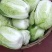 精品大白菜无虫无烧心。。大小个头都有。。