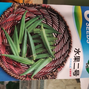 水果二号秋葵种子蒴果油绿明亮商品性佳